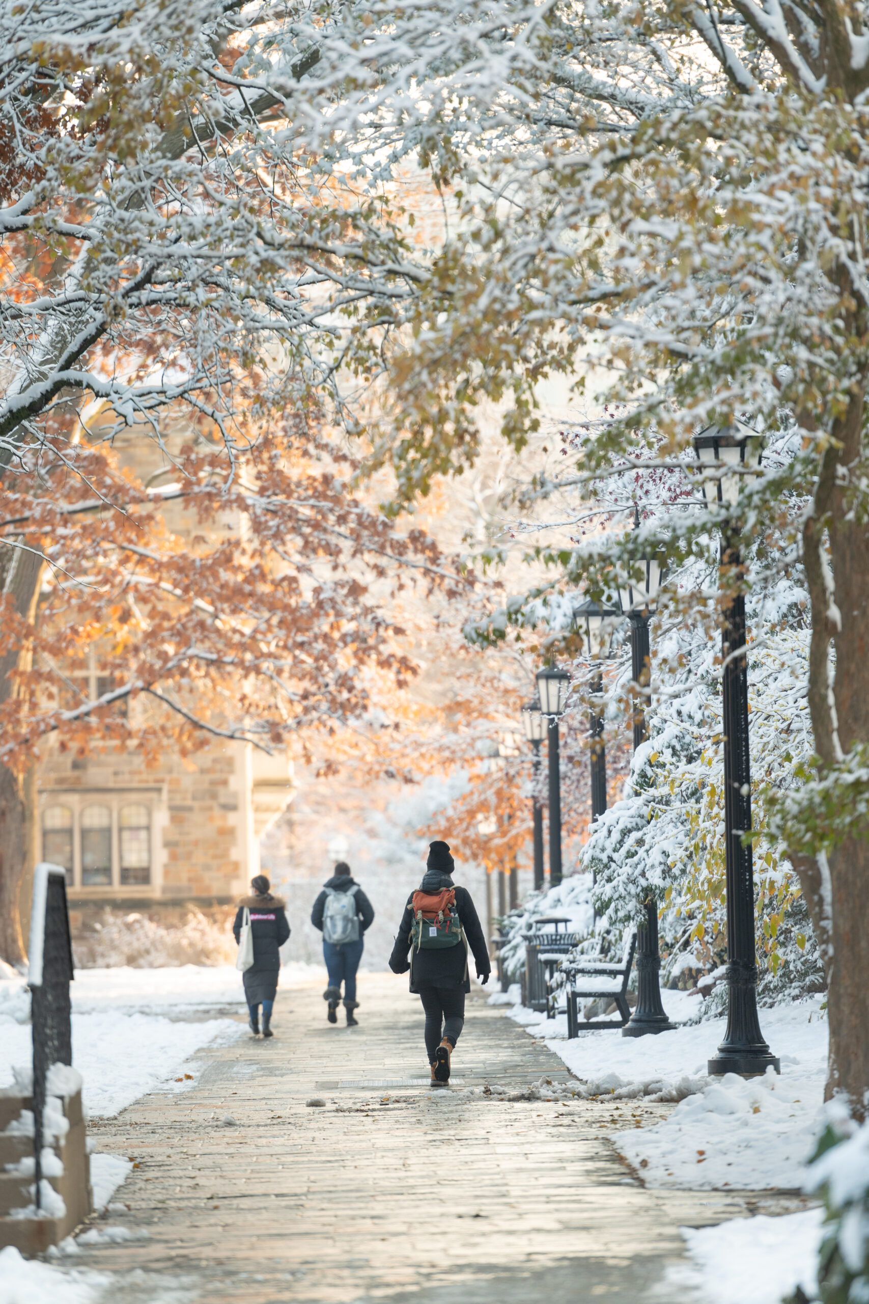 An early November snow covers Central Campus.